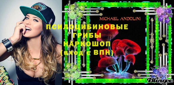 гидра Белокуриха