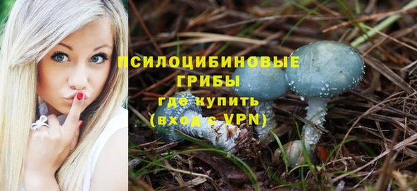 стафф Баксан